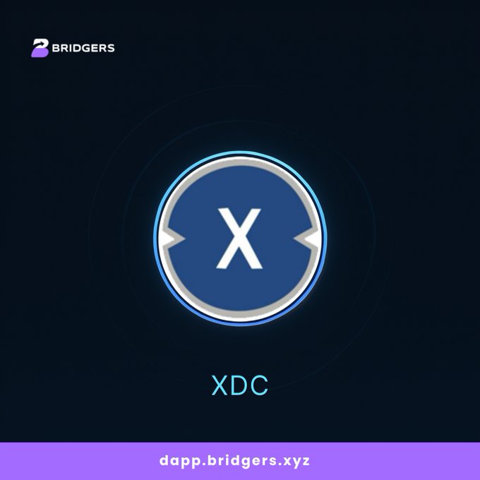 The image focuses on a blue logo with an arrow pointing at it, which has been altered to display a combination of "XDC" and "XTDC", replacing one letter with another. The modified logo is located next to text that reads "dapppbriders.xz". The background of the image is black.