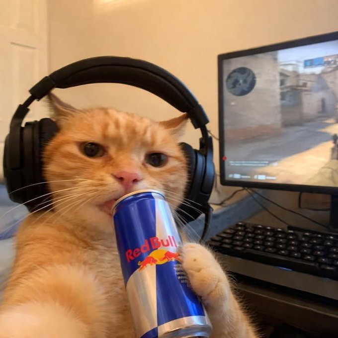 An orange cat wearing black gaming headphones while drinking from a Red Bull can, sitting in front of a computer monitor displaying what appears to be Counter-Strike gameplay.