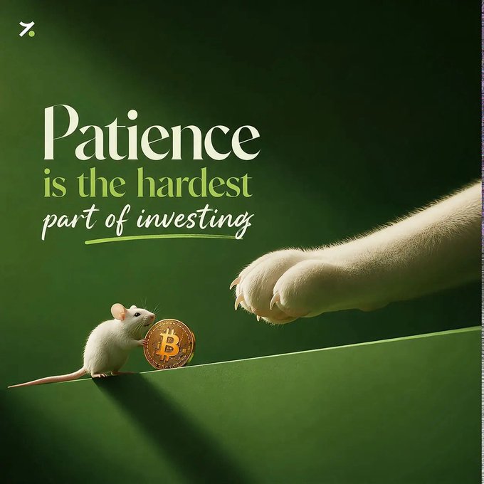 An inspirational graphic with a white mouse approaching a Bitcoin coin on an incline as a cat's paw reaches down, captioned 'Patience is the hardest part of investing.'