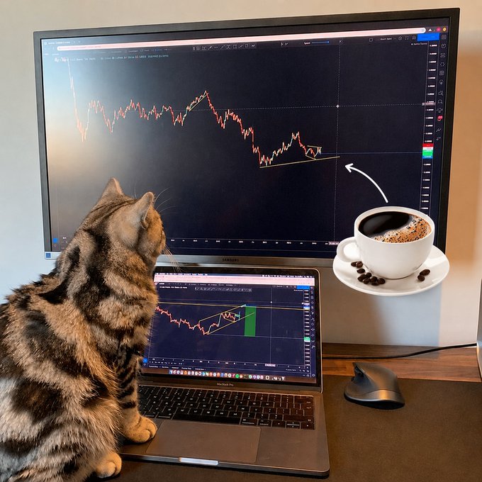 In this image, there's a cat sitting in front of a computer monitor displaying stock charts for commodities such as coffee, cocoa, sugar, and cattle. The cat appears interested in the stock market news being displayed. A laptop keyboard is visible below the monitor, indicating that the user might be actively engaged in trading or monitoring these markets. Additionally, there's an inkpen nearby, suggesting that someone may have been writing down notes related to their trades or the market data they were viewing. Overall, this scene highlights how technology and the rise of cryptocurrency are increasingly impacting traditional financial markets such as those covered by the stocks displayed on the monitor.
