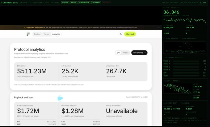 A Flybrain Live analytics dashboard shows memecoin training metrics, including a $511.23M 24h volume, 25.2K launches, and $36,346 total value locked, supporting the claim that Flybrain is actively operating in the memecoin space ahead of its official "fly."