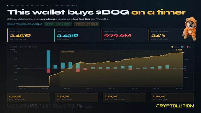 A Cryptolution on-chain forensics dashboard titled 'This wallet buys $DOG on a timer' showing 2.451B $DOG sent, 3.431B total received, 979.6M $DOG outgoing, and 34% earnings in schedule, with a chart tracking transfers from Feb to Aug.