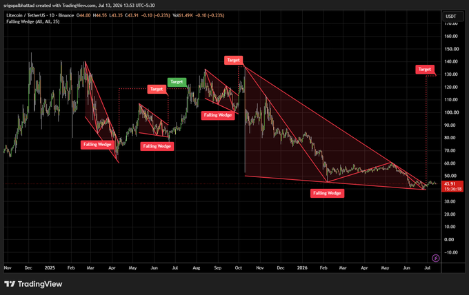 TradingView chart of Litecoin/USDT on Binance with red technical analysis markings showing multiple 'Falling Wedge' patterns and 'Target' price points across an extended time range.