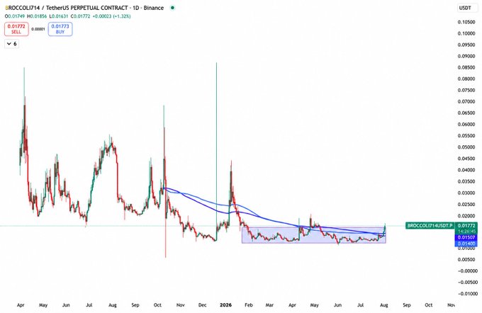 A daily Binance perpetual contract chart for BROCCOLI714/USDT shows the price consolidating within a highlighted accumulation zone (approximately 0.01550–0.01773) for several months before a recent breakout attempt, supporting the post's claim of a "500 days accumulation breakout" for the meme token BROCCOLI714.
