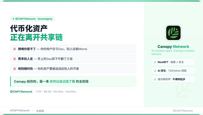 Canopy Network (@CNPYNetwork) promotional graphic with Chinese text '代币化资产正在离开共享链' (Tokenized assets are leaving shared chains), highlighting features like NestBFT, AI native TS/Python, and chain-agnostic tokens.