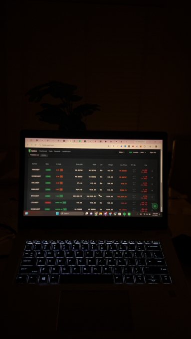 A dimly lit photograph of an open laptop on a desk displaying a stock trading interface with various ticker symbols and price data, with a potted plant visible in the background.