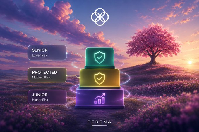 A tiered pyramid graphic labeled PERENA showing 'SENIOR Lower Risk', 'PROTECTED Medium Risk', and 'JUNIOR Higher Risk' levels set in a dreamy purple landscape with a pink flowering tree.