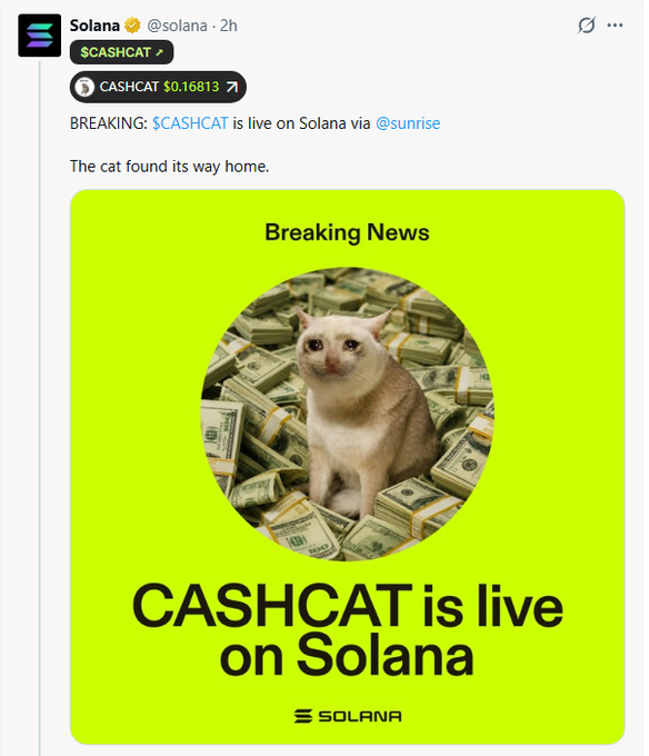A social media post by @solana announcing '$CASHCAT is live on Solana via @sunrise', featuring a 'Breaking News' graphic of a cat sitting on stacks of dollar bills.