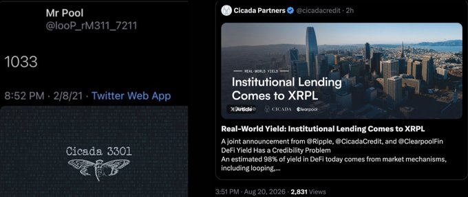 The image displays two side-by-side posts: a tweet from "Mr Pool" (@looP_rM311_7211) posted on 2/8/21 showing the number "1033" and a Cicada 3301 logo, paired with a Cicada Partners (@cicadacredit) announcement from August 20, 2026 titled "Real-World Yield: Institutional Lending Comes to XRPL" featuring Ripple, Credibility, and Clearpool logos. The juxtaposition highlights the date pattern (2/8/21 reversed = 8/20) and symbolic connections between the Cicada 3301 reference and the XRPL institutional lending announcement involving $XRP.