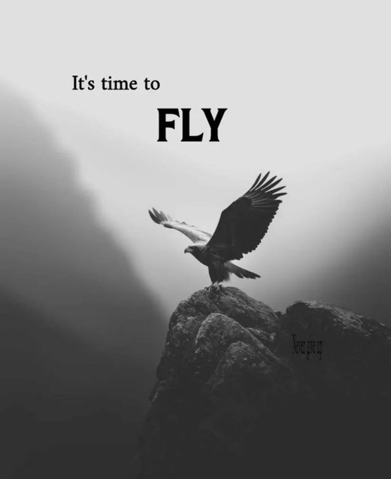 "It's time to fly" written above a bird that is flying over rocks, with the phrase "XRP" below the bird.