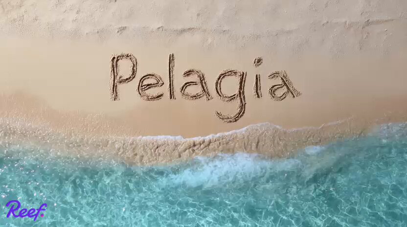 The image features a beach scene with the word "Pelagia" written in white sand, indicating that it's a photo of a sandy beach where the word "Pelagia" was written. The text also mentions that there is a new development team working on Pelagia and that they have allocated more resources to this project.