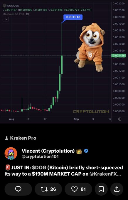 A chart of DOG/USD on Kraken shows the token spiking to a $190M market cap with a 23.57% gain, paired with an enthusiastic bullish tweet from @cryptolution101 projecting a 20–30B valuation. The image visually backs up the post's hype, illustrating the short squeeze rally used as evidence for the bold long-term prediction.