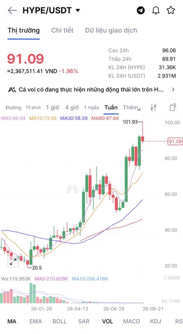 A cryptocurrency trading chart showing HYPE/USDT pair, displaying a current price of 91.09 VND (down 1.96%), with a weekly candlestick chart showing significant volatility.