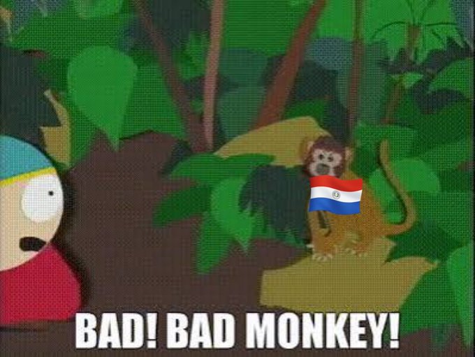This image is a meme featuring a South Park scene with the caption "BAD! BAD MONKEY!" showing a monkey with the Paraguay flag overlaid on it, standing in a jungle setting while a character looks on in shock.