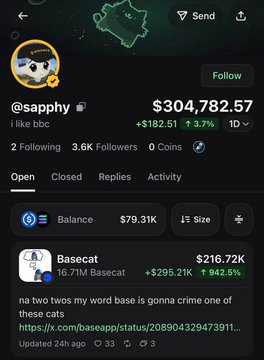 A screenshot of trader @sapphycrypto's profile on Base, displaying a portfolio balance of $304,782.57 and highlighting a $216.72K position in the Basecat memecoin, which has surged +942.5% in value, confirming their substantial unrealized gains.