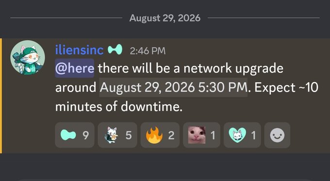 A Discord message from user "iliensinc" at 2:46 PM on August 29, 2026, announces a network upgrade scheduled for that same day at 5:30 PM, with approximately 10 minutes of expected downtime, and receives 9 bow, 5 cat, 2 fire, 1 pink cat, 1 white cat, and 1 smiley reaction. The accompanying post relates to HIP-4 update implementation on Hyperliquid mainnet, suggesting the network upgrade notice corresponds to this protocol change enabling prediction market deployment.
