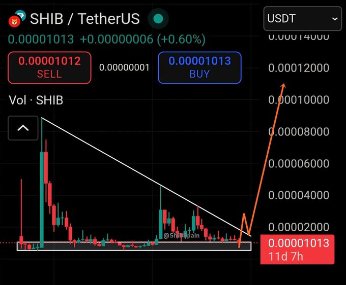 The image shows a SHIB/TetherUS (SHIB/USDT) trading chart with a current price of $0.00001013, featuring a descending trendline and an orange arrow pointing sharply upward toward $0.00001400, illustrating the post's claim that SHIB will gain +$0.0001 soon as it breaks out of its consolidation pattern.