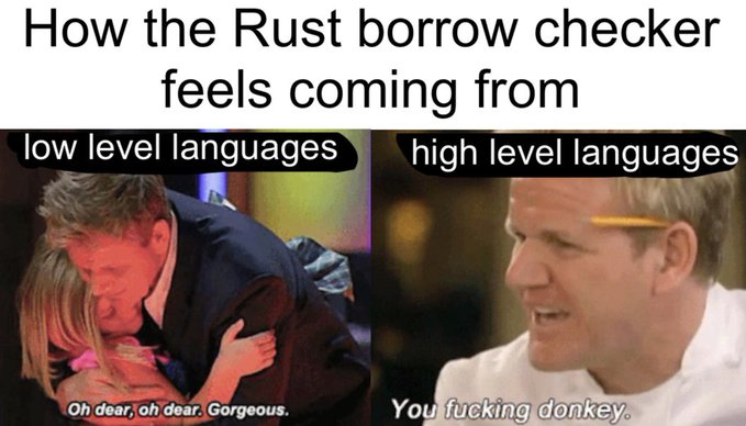 A Gordon Ramsay meme captioned 'How the Rust borrow checker feels coming from low level languages (Oh dear, oh dear. Gorgeous.) vs high level languages (You fucking donkey.)'.
