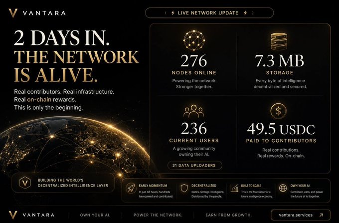 Vantara network update showing 276 nodes online, 236 users, 7.3 MB stored, and 49.5 USDC paid to contributors.