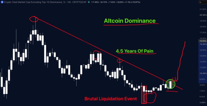 A candlestick chart of "Crypto Total Market Cap Excluding Top 10 Dominance, %" (CRYPTOCAP) shows altcoin dominance breaking out of a multi-year downtrend, annotated with "4.5 Years Of Pain" along a descending red trendline, a "Brutal Liquidation Event" at recent lows, and a sharp upward green arrow implying a major altcoin rally is beginning.