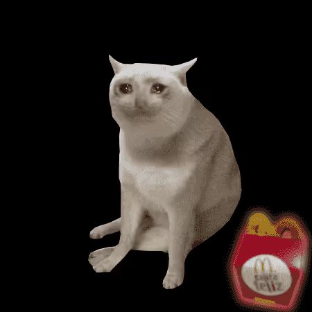 A 3D rendered white cat with an unusually sad expression sitting against a black background next to a McDonald's Happy Meal box with french fries.
