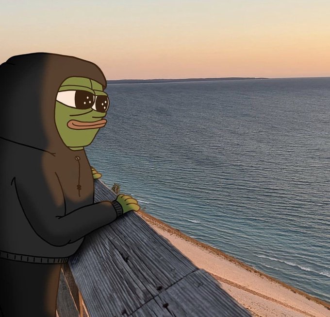 A cartoon illustration of a green Pepe frog wearing a dark hooded jacket, leaning on a wooden railing while looking out over the ocean at sunset.