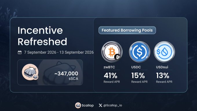 A promotional graphic from Scallop (@Scallop_io) announcing an 'Incentive Refreshed' campaign from 7 September 2026 - 13 September 2026, highlighting borrowing pools for zwBTC at 41%, USDC at 15%, and USDsui at 13% Reward APR.