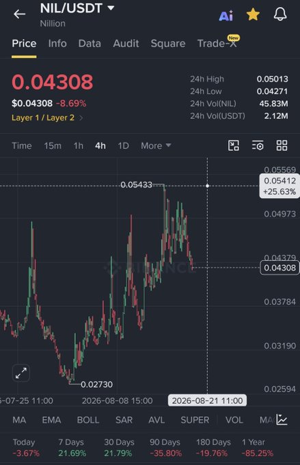 Cryptocurrency price chart for NIL/USDT showing a current price of 0.04308 USDT, down 8.69%, with 24h high/low of 0.05013/0.04271 and various timeframe percentage changes including 1 Year: -85.25%.