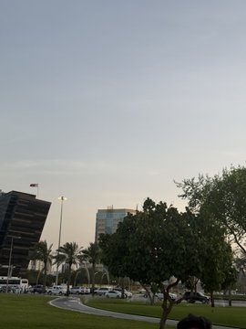 A grassy park scene at dusk shows a clear sky, palm trees, buildings, and parked cars in the distance, including a flag flying atop one structure. The peaceful, motivational setting complements the post's uplifting message about perseverance, with the creator wearing $ANSEM merchandise and greeting the community with a positive "gm" to @blknoiz06.