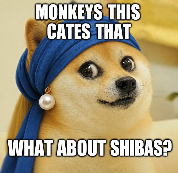 Meme image of a Shiba Inu dog wearing a blue head wrap and pearl earring with text reading 'MONKEYS THIS CATES THAT' and 'WHAT ABOUT SHIBAS?'