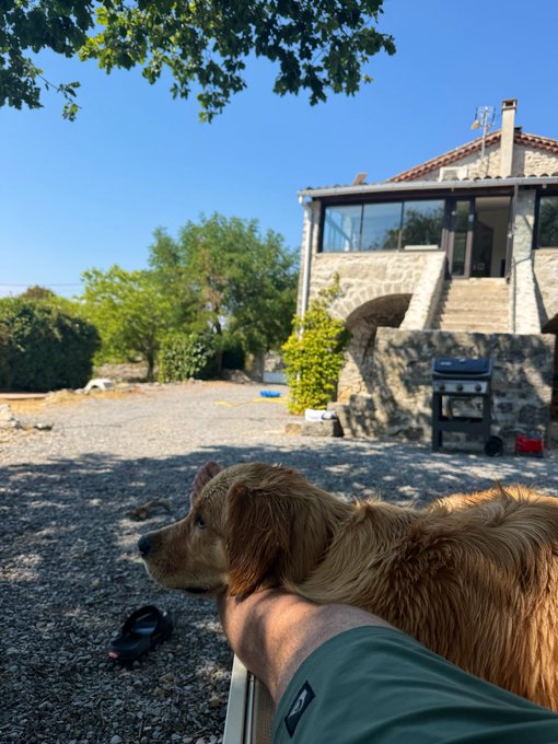 A golden dog rests peacefully in the foreground on a gravel patio, gazing out at a sunny Mediterranean-style stone villa with outdoor grill and sun loungers, embodying a perfect relaxing morning abroad.