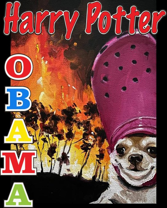 Meme image featuring a small dog wearing a pink wizard hat with the text 'Harry Potter OBAMA' displayed in colorful block letters.