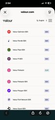 A mobile screenshot of the Valour cryptocurrency app showing a list of digital asset products including Valor Bitcoin, Valor Solana, and others with NAV values.