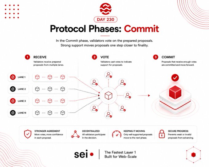 An infographic titled 'Protocol Phases: Commit' for Sei blockchain, detailing the three steps of RECEIVE, VOTE, and COMMIT with descriptions of validator processes.