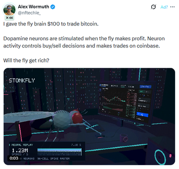 A tweet from Alex Wormtrie (@niftee_) stating 'I gave the fly brain $100 to trade bitcoin. Dopamine neurons are stimulated when the fly makes profit. Neuron activity controls buy/sell decisions and makes trades on coinbase. Will the fly get rich?' with an image showing STONK FLY setup on screens.