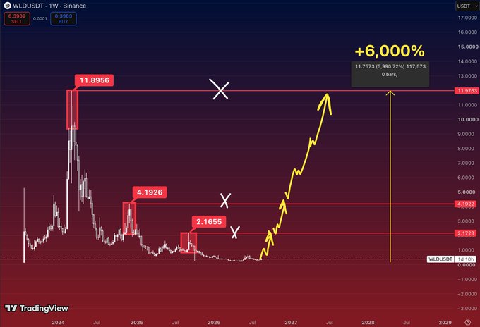 A TradingView chart of $WLDUSDT on Binance's weekly timeframe shows the token trading at $0.3903, with three marked liquidity levels at $2.1728, $4.1926, and $11.8956 above price, alongside a projected +6,000% upside arrow targeting $11.7573 by 2028, illustrating the post's thesis that these levels act as "liquidity magnets" for a potential massive recovery from its post-crash lows.