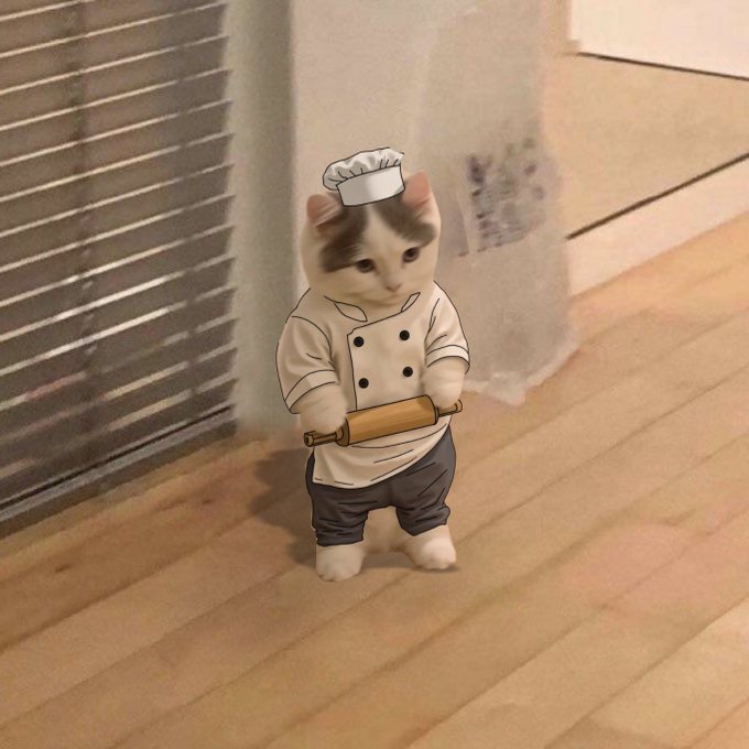 A digitally edited image shows a cat standing upright on its hind legs on a wooden floor, with cartoon drawings added to make it appear to be wearing a chef's hat, white jacket, dark pants, and holding a rolling pin.