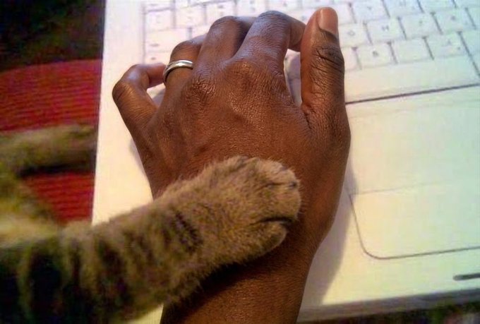 A close-up shows a cat's paw resting on a person's hand, which wears a silver ring and sits on a white laptop keyboard. The image humorously plays on the "pumping" reference in the caption, suggesting the cat is "helping" trade $ENA by pressing keys, though no text or numbers are visible in the photo itself.