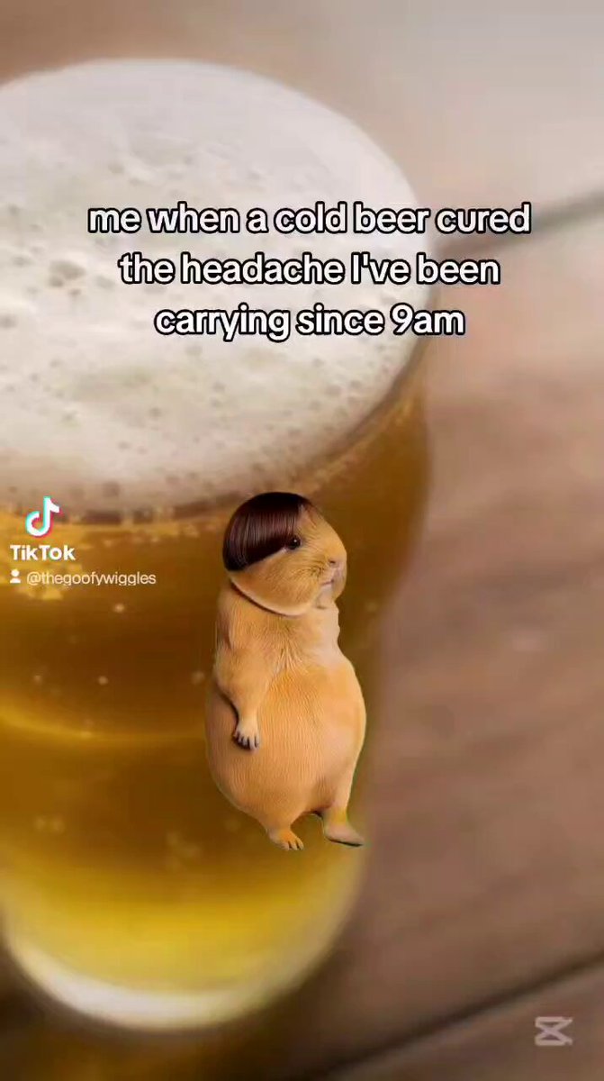The image features a glass of beer with an anthropomorphized guinea pig sitting atop it, giving the impression that the guinea pig is "carrying" the beer. The caption below the image reads, "me when a cold beer cured the headaches I've been carrying since 8am".
