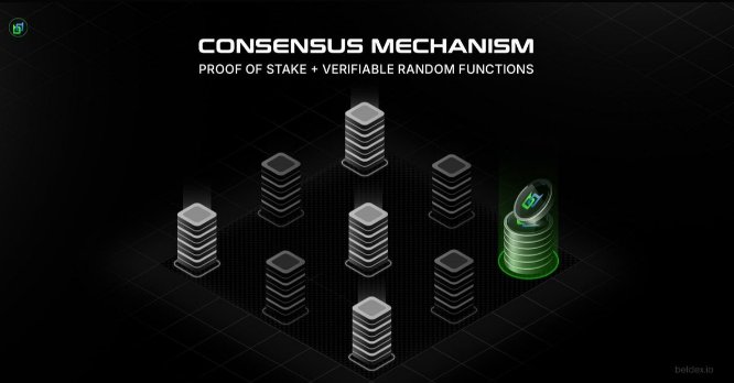A graphic illustrating a 'CONSENSUS MECHANISM' using 'PROOF OF STAKE + VERIFIABLE RANDOM FUNCTIONS', showing server stacks and coins.