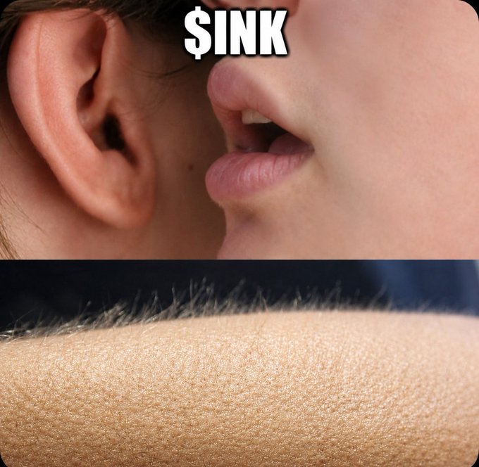 The image features a close-up of an ear with a large, prominent $ ink mark on it. This $ ink mark is located near the top center of the photo, drawing attention to its size and prominence. The background of the image is black, which contrasts sharply with the white text that reads "Something big is coming! $INK". This contrast emphasizes the $ ink mark in the ear and makes it stand out against the dark background.