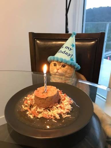 An orange tabby cat wearing a blue "It's my birthday!" party hat sits at a glass table behind a small birthday cake topped with a single lit candle. The image captures the post's thank-you message for birthday wishes, with the festive scene serving as a visual celebration of the special day.