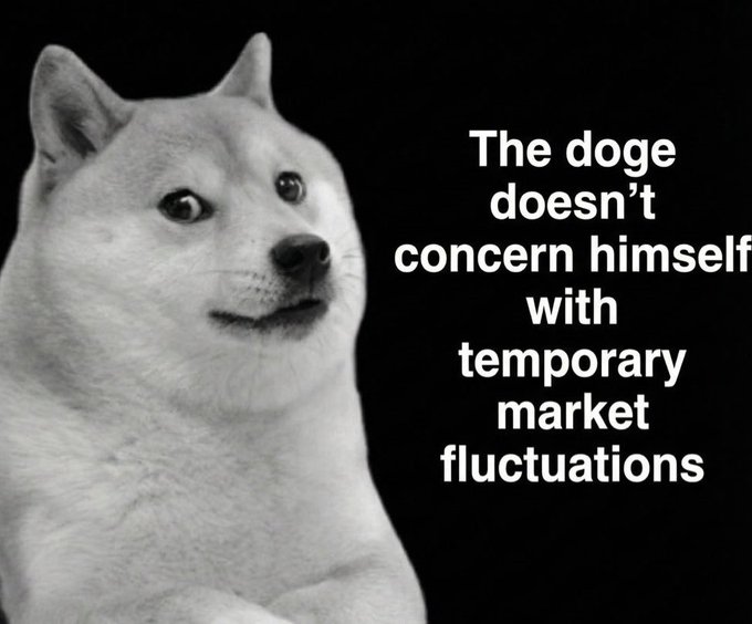 A 'Doge' meme featuring a Shiba Inu dog with text stating 'The doge doesn't concern himself with temporary market fluctuations'.