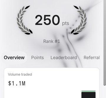 A points dashboard showing 250 pts with Rank #1, displaying tabs for Overview, Points, Leaderboard, and Referral, with a volume traded of $1.1M.