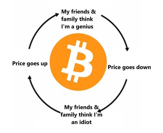 Bitcoin cycle meme showing a loop where 'Price goes up' makes friends and family think 'I'm a genius,' while 'Price goes down' makes them think 'I'm an idiot.'