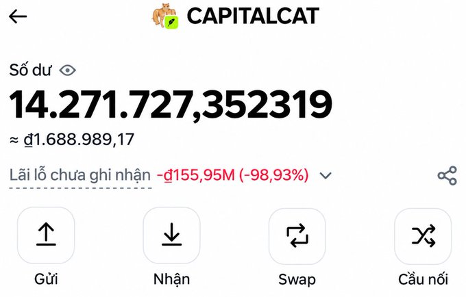 A screenshot of a CAPITALCAT app showing a balance of 14.271.727,352319 (about 1.688.989,17), with an unrealized loss of -155,95M (-98,93%) and buttons labeled 'Gửi', 'Nhận', 'Swap', and 'Cầu nối'.