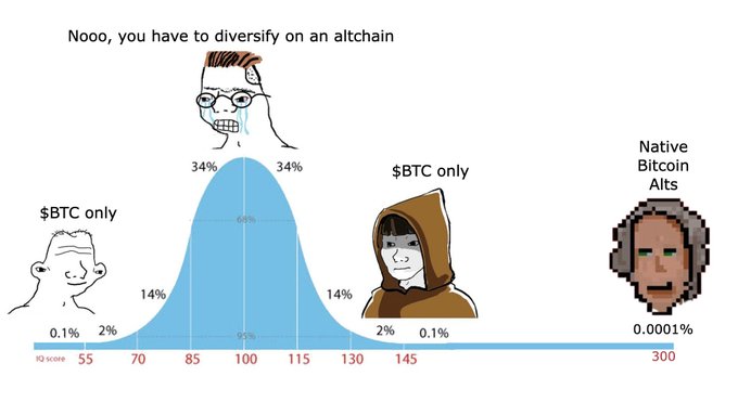 Bitcoin IQ bell curve meme showing the distribution of cryptocurrency holders: '$BTC only' normies on the left, normie center peak at IQ 100, '$BTC only' wojak, and 'Native Bitcoin Alts' Chad at IQ 300 (0.0001%).