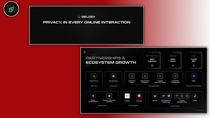 The image shows a promotional graphic for Beldex featuring two panels: one with the tagline "Privacy, in every online interaction," and another displaying "Partnerships & Ecosystem Growth" with stats noting 4093+ registered mobile node servers, 3004+ Active Decentralized Identifiers (DIDs), and 6 BChat nodes, alongside partner logos including Android CLI, Pancake swap, Wormhole, GMCI, and others. The graphic supports the post's message about online privacy by showcasing Beldex's BelNet and BeldexCoin ecosystem, emphasizing the tools and network infrastructure built to protect users from invasive data tracking.