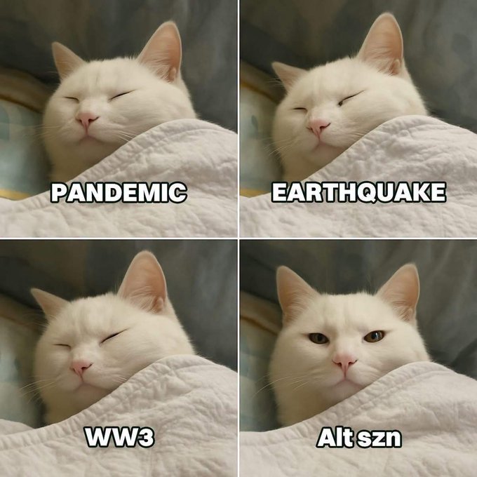 A four-panel meme showing a white cat sleeping peacefully under a blanket for 'PANDEMIC', 'EARTHQUAKE', and 'WW3', but opening its eyes alertly for 'Alt szn'.