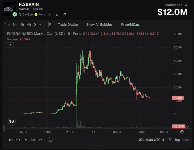 The image displays a TradingView chart for the FLYBRAIN/USD token on the Solana-based decentralized exchange Raydium (Pons), showing a market cap of $12.0M with a 0.51% decline in the past 5 minutes and a 24-hour volume of 26.34K. The chart illustrates a classic pump-and-dump pattern, where the token's market cap spiked dramatically from around $5M to nearly $50M before crashing back down to $12M—a ~75% drawdown—reinforcing the post's commentary about "RH" (likely Rhino.fi or similar) quickly shifting from a legitimate onboarding chain to one enabling rapid "pillage" of liquidity by insiders or snipers.